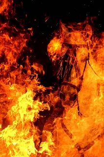De fire