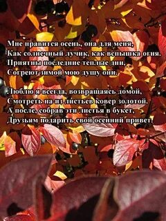 Почему я люблю осень