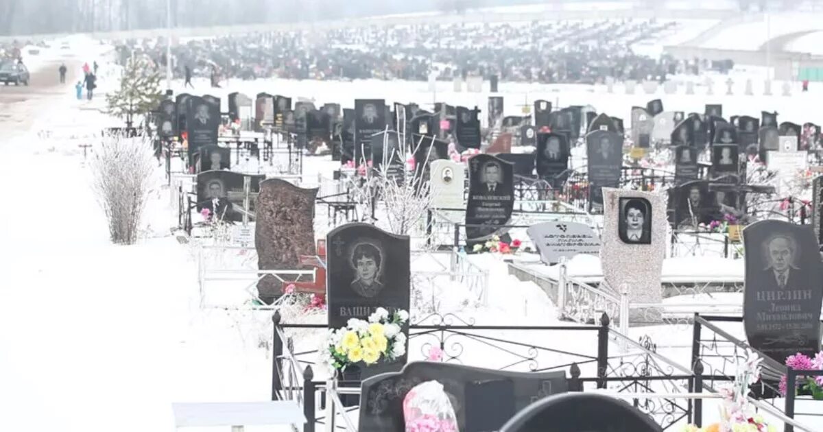 Кладбище нерюнгри. Шахтерское кладбище. Кладбище в городе нерюнгри. Могилы животных в лесу. Поезд нижний бестях нерюнгри.