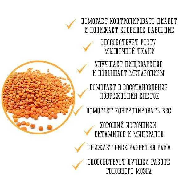 Чем полезна чечевица. Чечевица польза. Чем полезна чечевица для организма. Чечевица польза для организма. Польза чечевицы для организма человека
