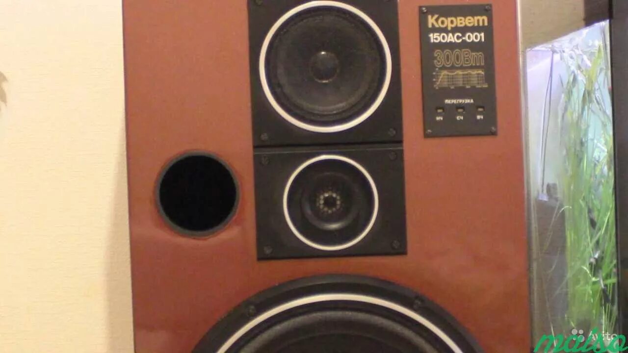 Акустическая система корвет 75 ас. Корвет 150ас revox. Корвет 150ас-001 динамики. Корвет 150ас. Корпус для корвет 150ас-001.