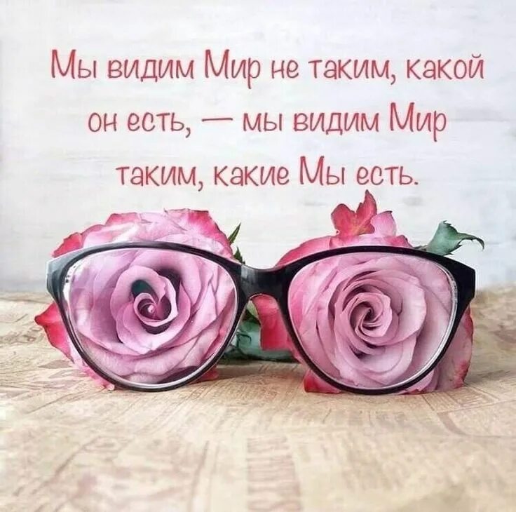 Цитаты надо быть самим собой. Афоризмы про сплетни. Цитаты про людей. Какие бывают цитаты. Красивые фразы про цветы.