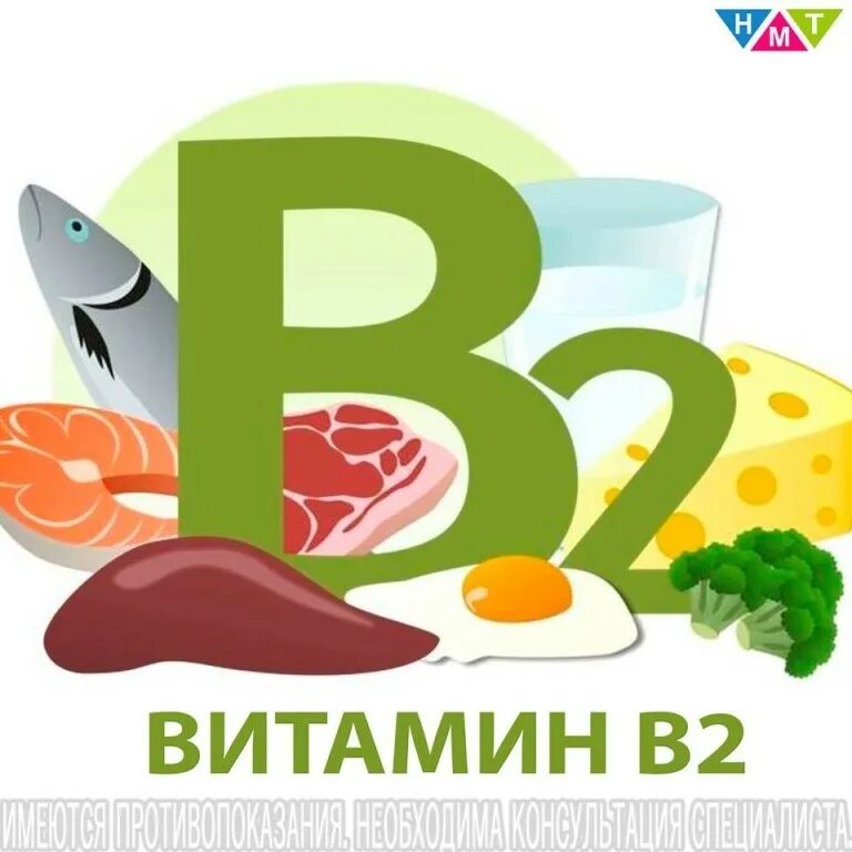 В2 в9 в12