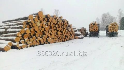 Круглые алтайский край