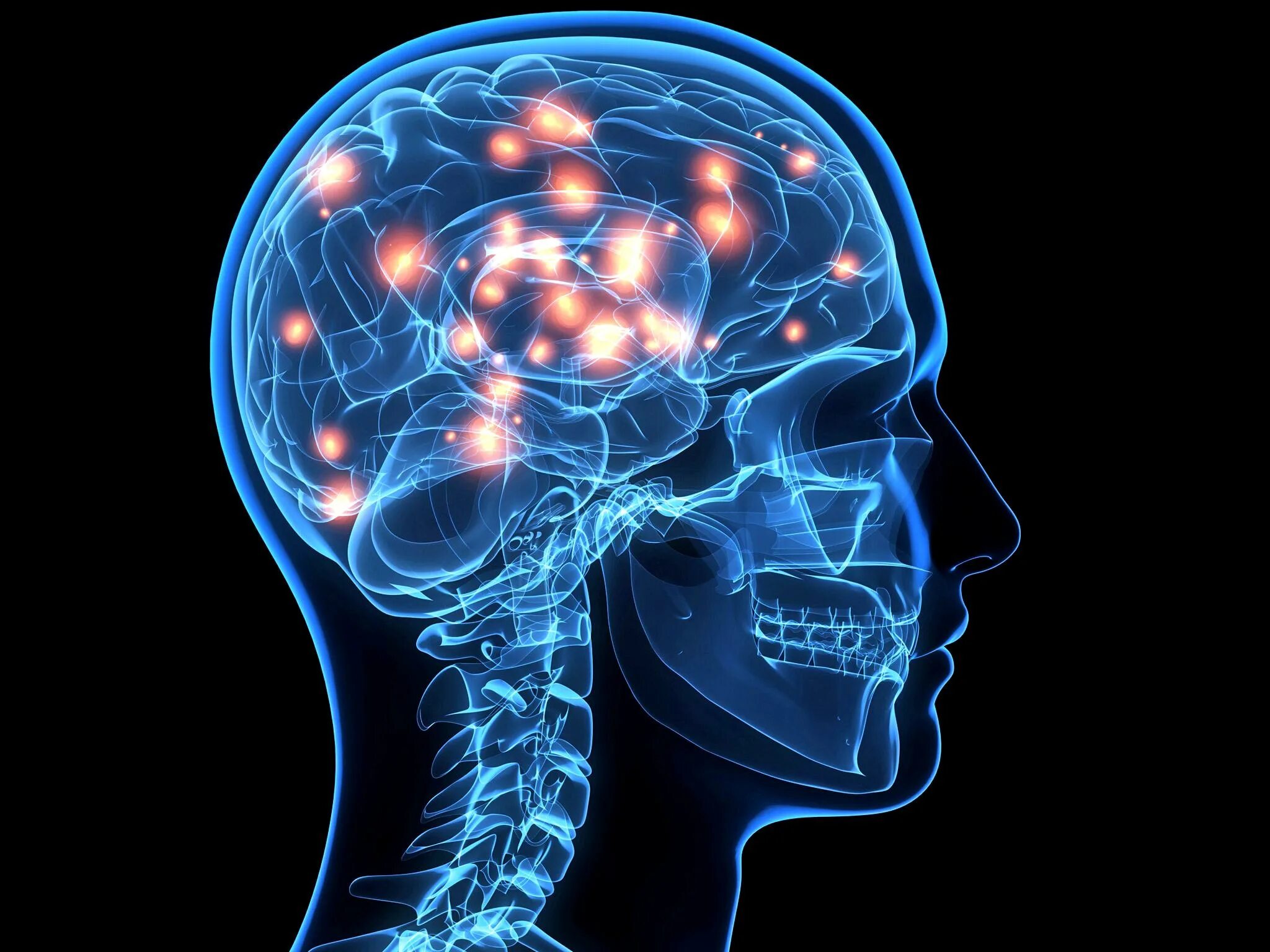 Поражение мозга болезнь. Головной мозг. Мозг и нервная система. Нервные заболевания.