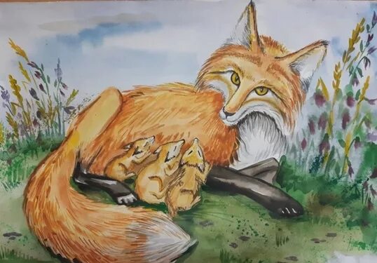Скребицкий заботливая мамаша. Скребицкий лисица. Г скребицкий заботливая мамаша. Г скребицкий заботливая мамаша. Рисунок к рассказу заботливая мамаша.