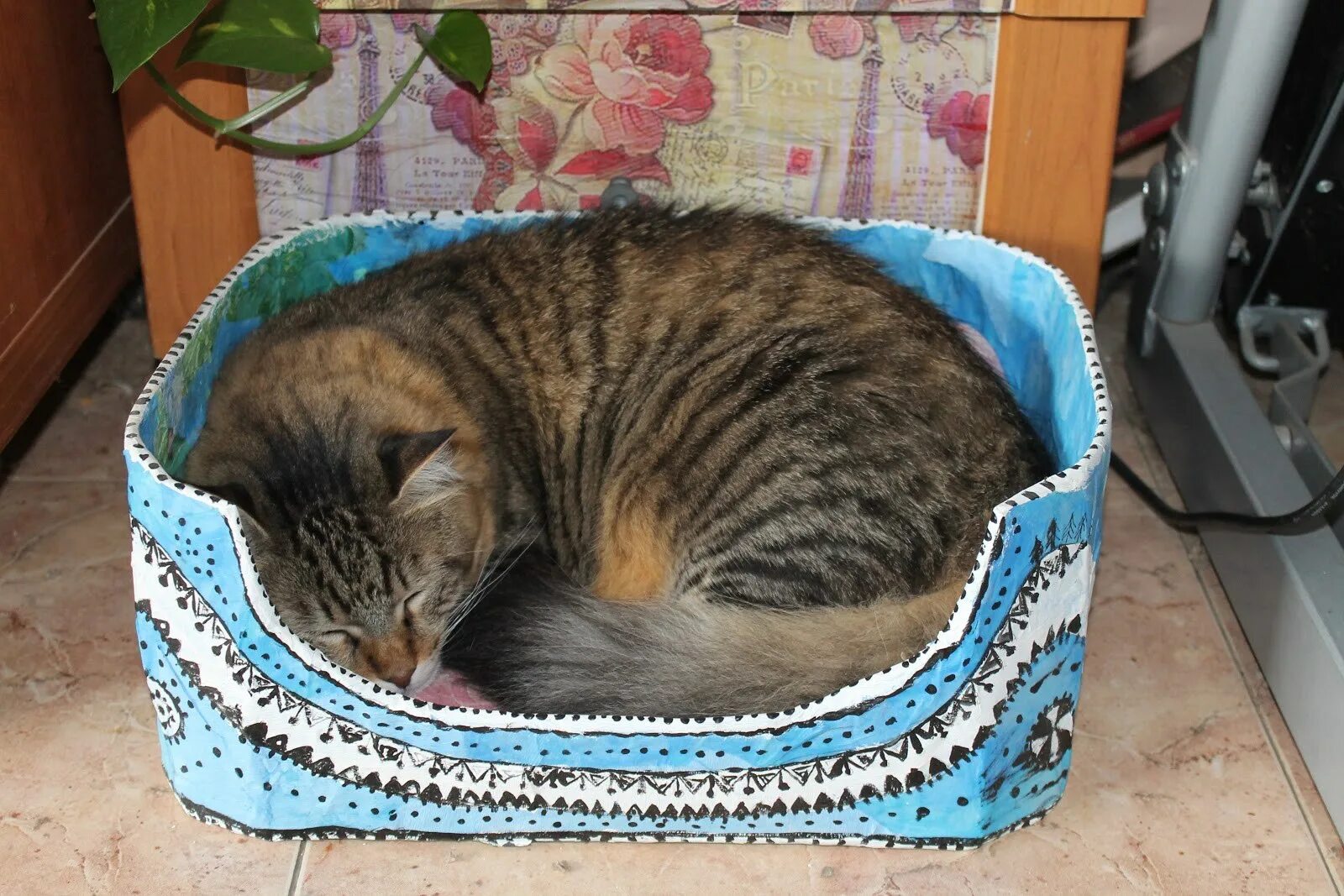 Лежанка для кота из коробки. Коробка с котятами. Как сделать лежанку из коробки. Как сделать лежанку из коробки. Лежак для кошки из коробки.