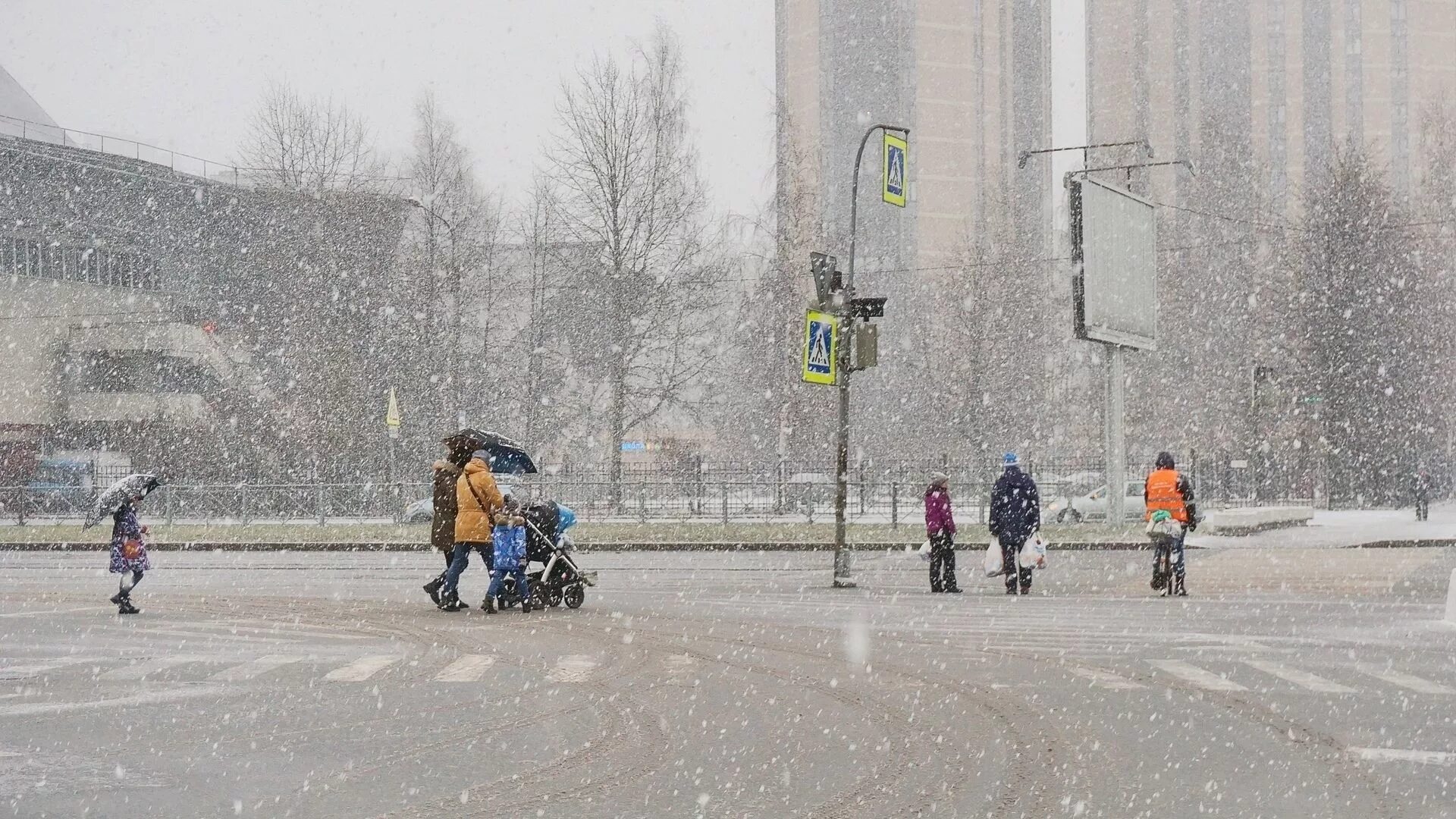 Снег в санкт петербурге сегодня. Первый снег в питере 2025. снегопад в санкт-петербурге. снегопад в питере. питер дождь зимой.