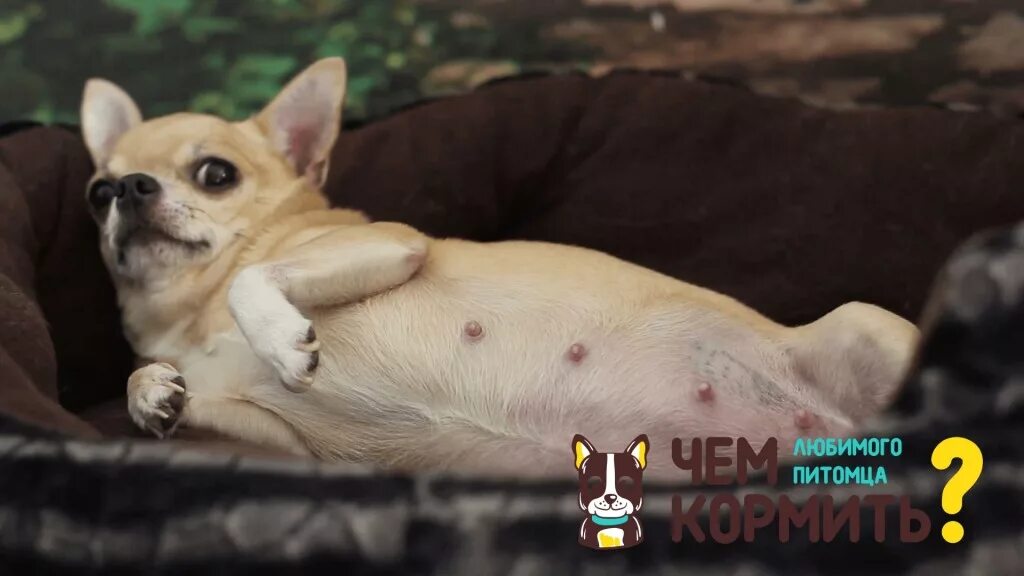 Подпись ускользнула.