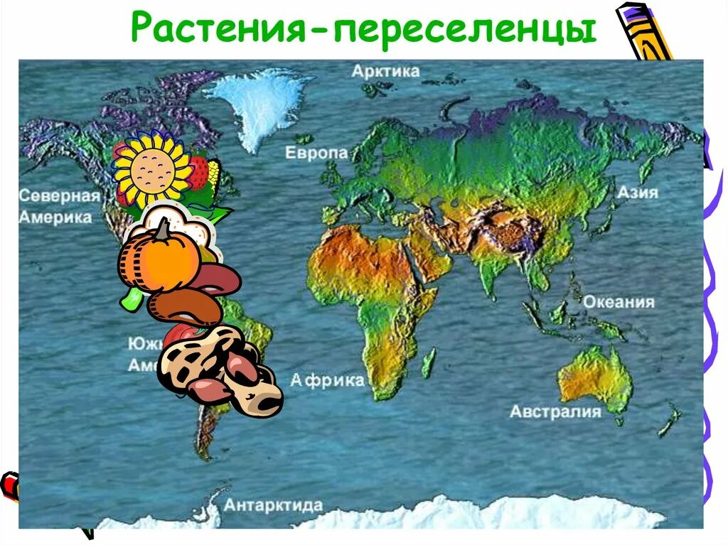\культурные растений из америки в европу. \культурные растений из америки в европу. Продукты привезенные из америки в европу. Путешествие культурных растений из америки в европу. Путешествие культурных растений из америки в европу.