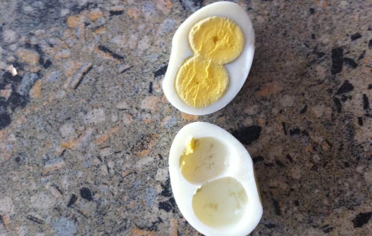 Два желтка примета. Двухжелтковые яйца. Яйцо с двумя желтками. Двойной желток в яйце. Многожелтковые яйца.