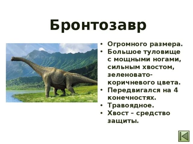 Окружающий мир 1 класс когда жили динозавры. Травоядные динозавры бронтозавр. древние пресмыкающиеся бронтозавр. бронтозавр кратко. сообщение о динозавре бронтозавр.