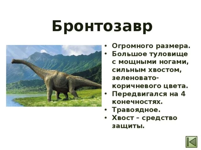 Рассказ про динозавров для 1 класса. Травоядные динозавры Бронтозавр. Бронтозавр описание. Древние пресмыкающиеся Бронтозавр. Бронтозавр кратко.