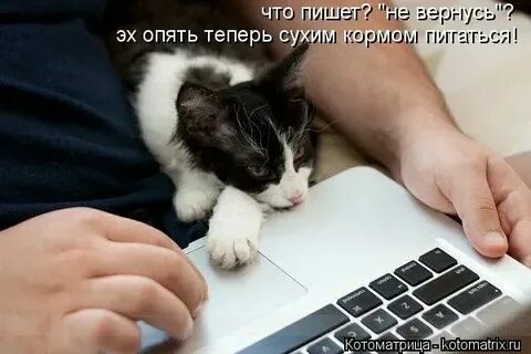 Тоже не она