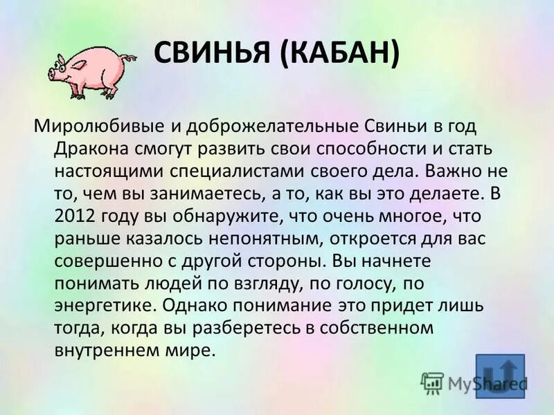 Гороскоп свинья мужчины. Свинья гороскоп.