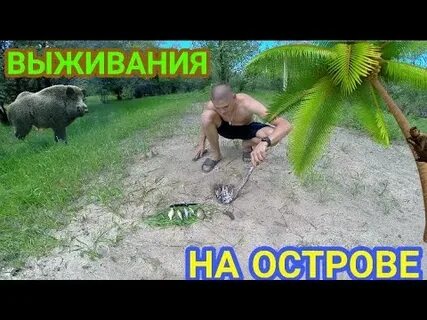 Выживают на острове 24 часа
