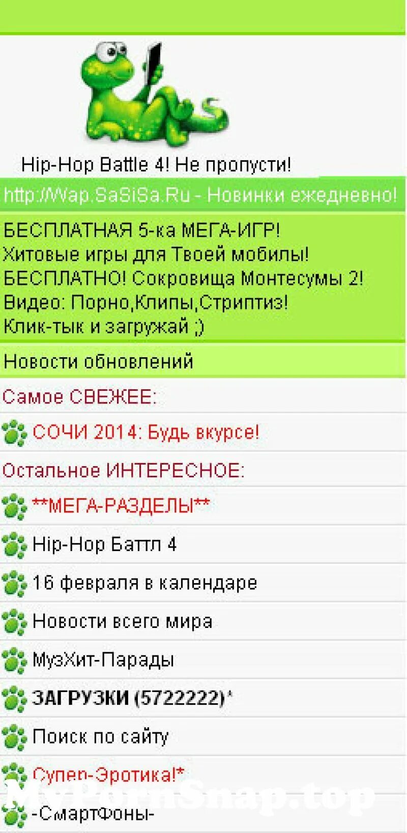 Sasisa файлообменник