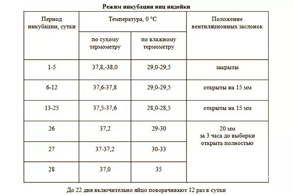 Таблица инкубации индюшиных яиц. Режим инкубации индейки таблица. Таблица выведения индюшат в инкубаторе. Таблица вывода индюшат в инкубаторе. Таблица инкубации индюшиных яиц в инкубаторе