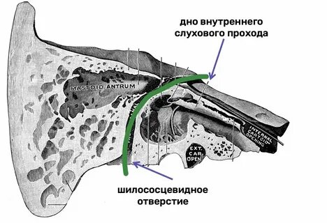 Костные отверстия