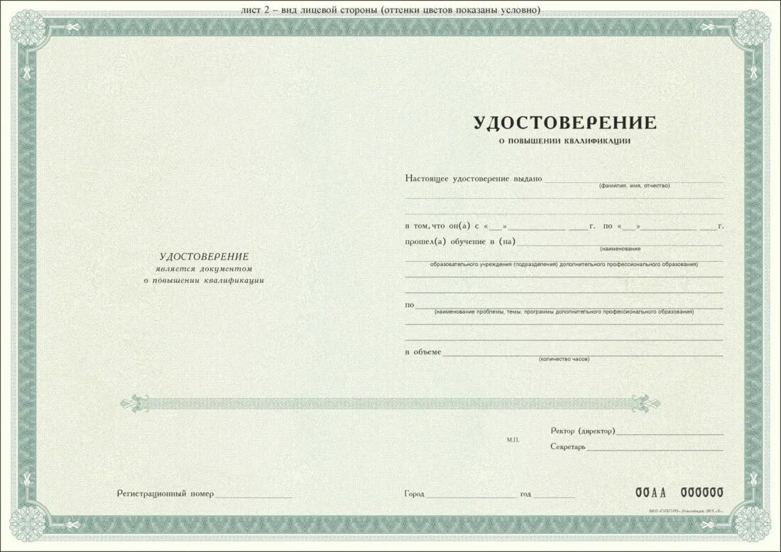 Какой документ выдается после