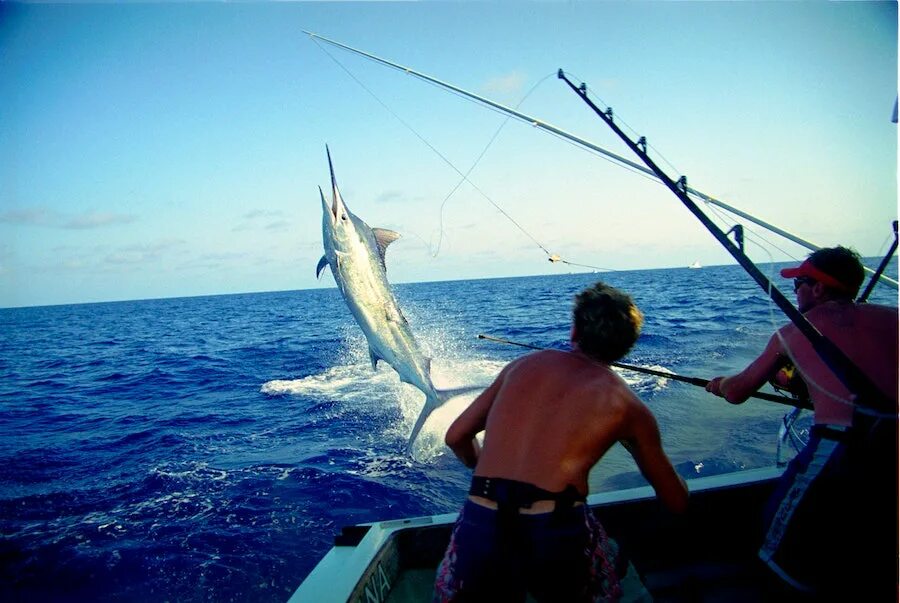 Нахлыст рыбалка. Морская рыбалка. Exciting fishing. Рыболовные снасти. Профессиональная рыбалка.
