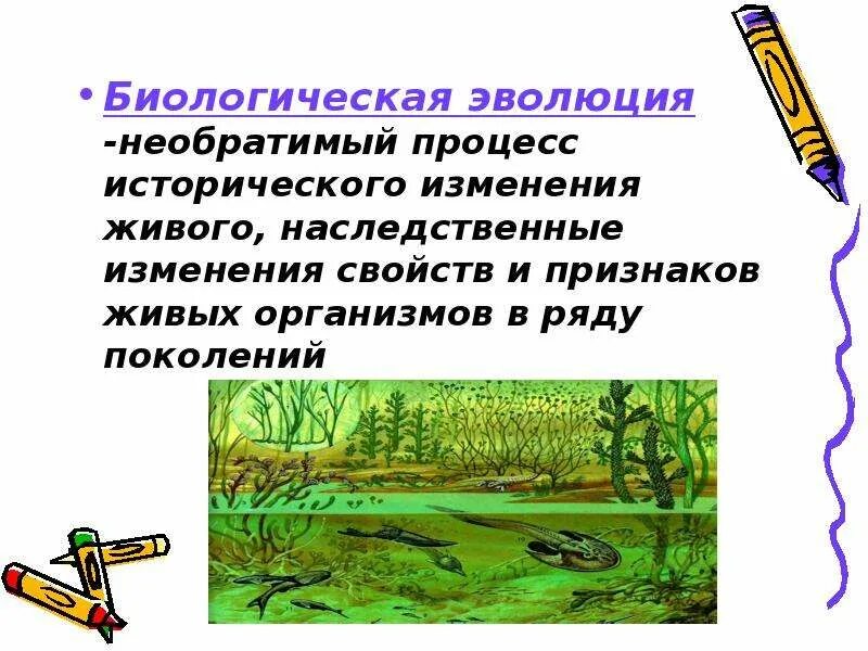 Как называют процесс исторического развития живой природы. Эволюция процесс исторического развития живой природы. Эволюция это необратимый процесс. Эволюция это необратимое историческое развитие живой природы. Эволюция как признак живого.