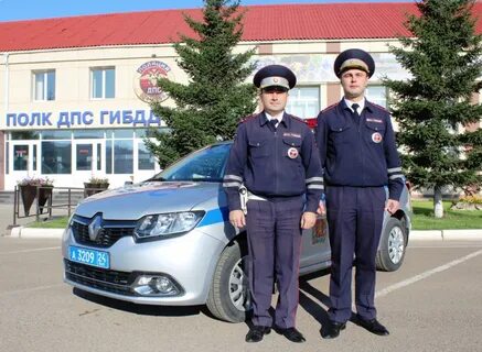 Имена гаи
