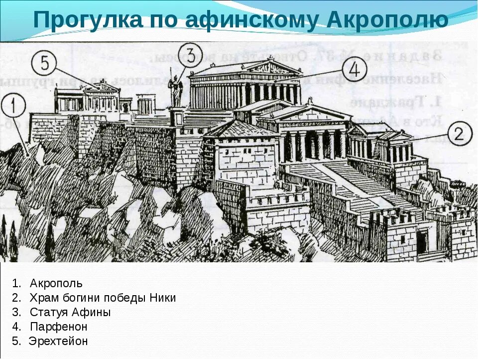 Акрополь древняя Греция план. Древняя Греция город Акрополь. Афины 5 век до н.э Акрополь. Афинский Акрополь Греция по истории. Районы древних афин