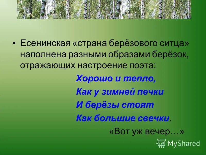 вот уже вечер. вечер роса есенин. и березы стоят как большие свечки. ночь хмурая как зверь средство выразительности. хорошо и тепло как зимой у печки и берёзы.