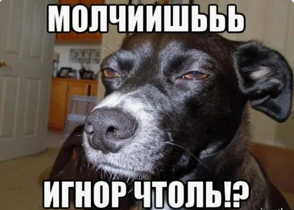 Пользователи игнорируют