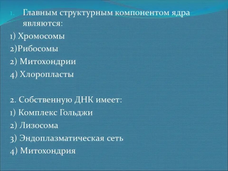 Главный структурный компонент ядра является хромосомы. Главный структурный компонент ядра является хромосомы