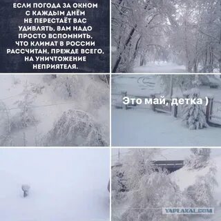 Погода за окном сейчас румянцево
