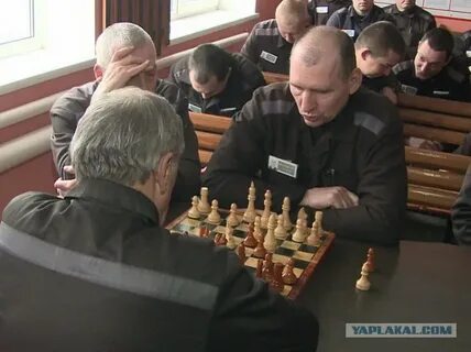 Колония нижний тагил