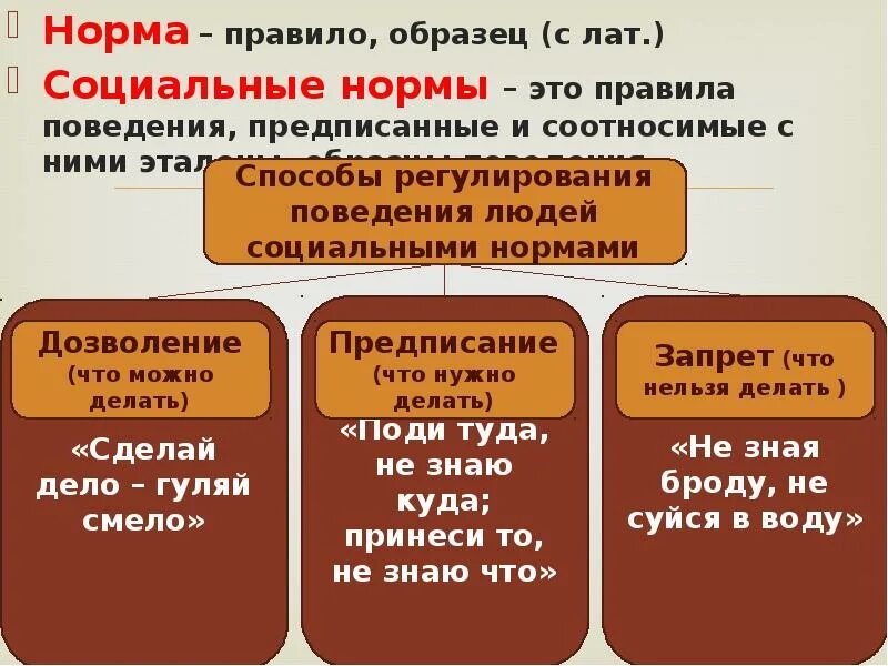 Виды правил по направленности примеры предписывающие запрещающие. Виды правил по направленности примеры предписывающие запрещающие