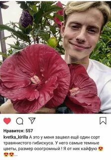Блоггер садовод