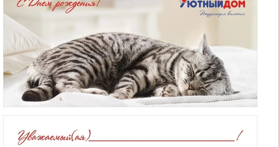 Какие животные не спят ночью