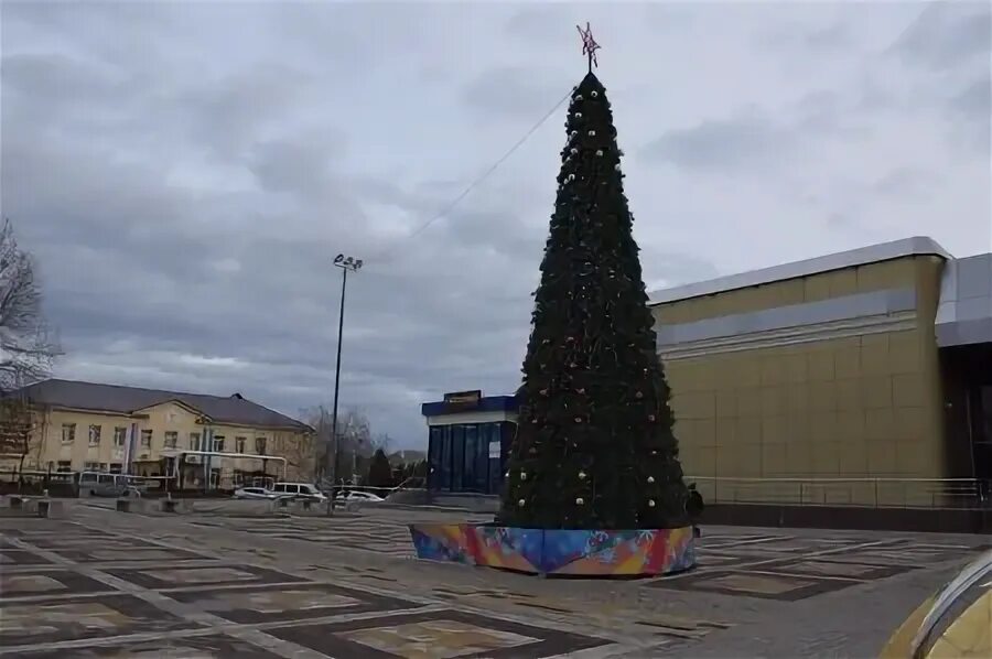 Новый крымск. Крымск елка. новогодняя елка крымск. станица северская ёлка. новогодняя елка в тихорецке.