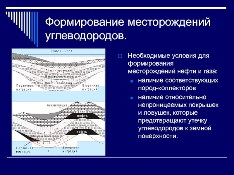 Образование месторождений. Органическая теория происхождения нефти. Образование месторождений. Образование нефти. Образование месторождений.