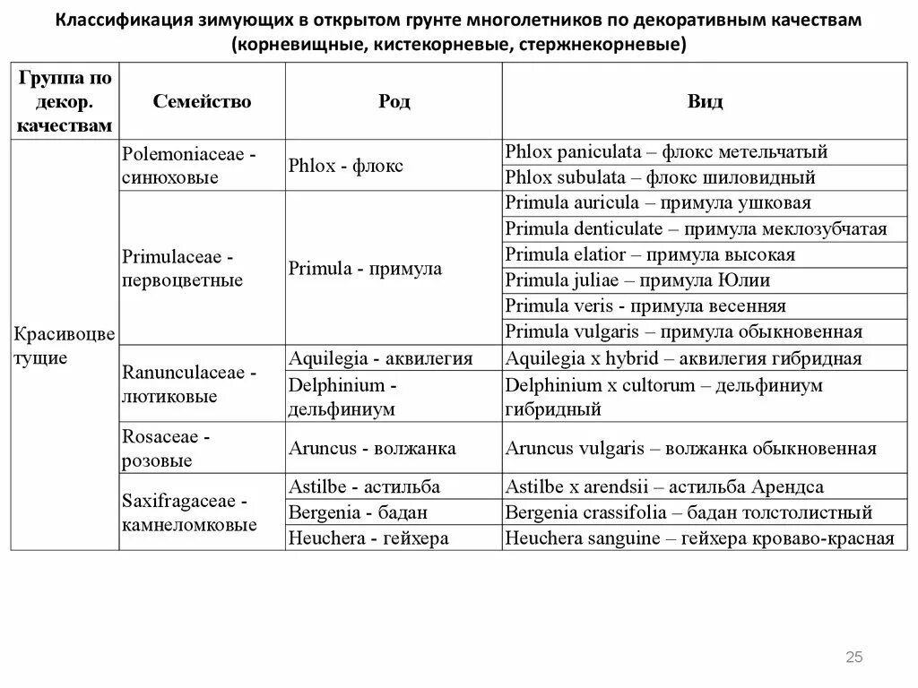 Зимующие в открытом грунте. Многолетники корневищные зимующие в открытом грунте. многолетние не зимующие в открытом грунте. корневищные многолетники не зимующие в открытом грунте. цветы зимующие в открытом грунте.