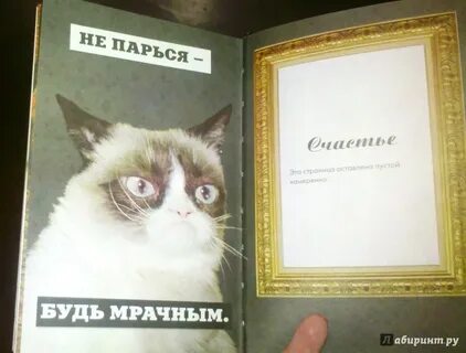 Кошки правят миром