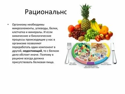 Целлюлоза это белок