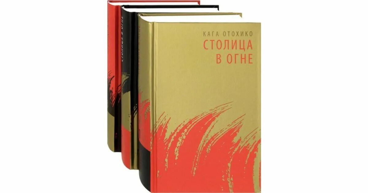 Читать книгу книги в огне полностью. Книга огня булганова елена книга. Книга с огнем. Кага отохико. Читать книгу книги в огне полностью.