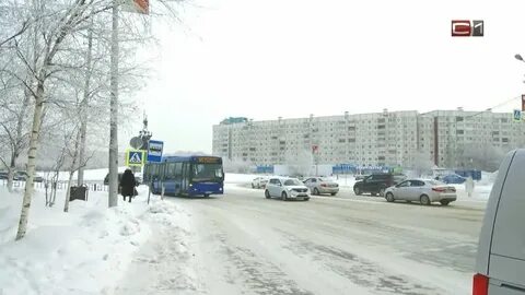 Реальный транспорт сургут