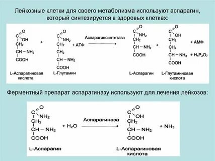Реакции энхайпен