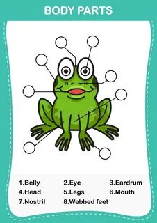 Транскрипция frog на русском