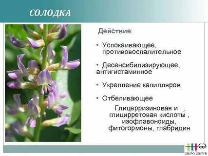 Солодка песня