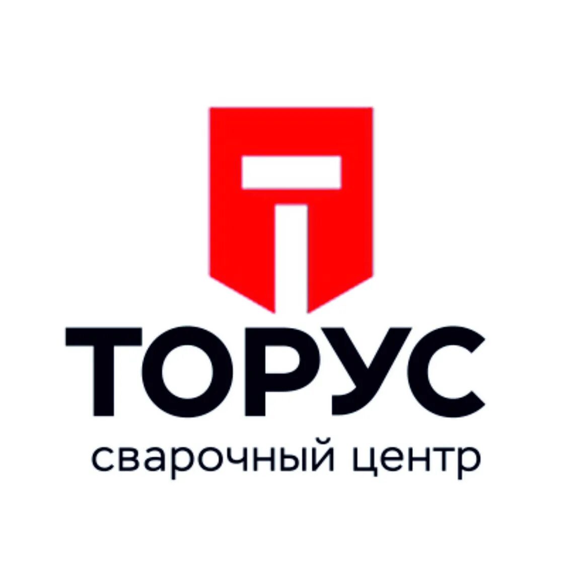 Тд торус. Торус групп. Торус логотип. Торус групп. Торус групп.