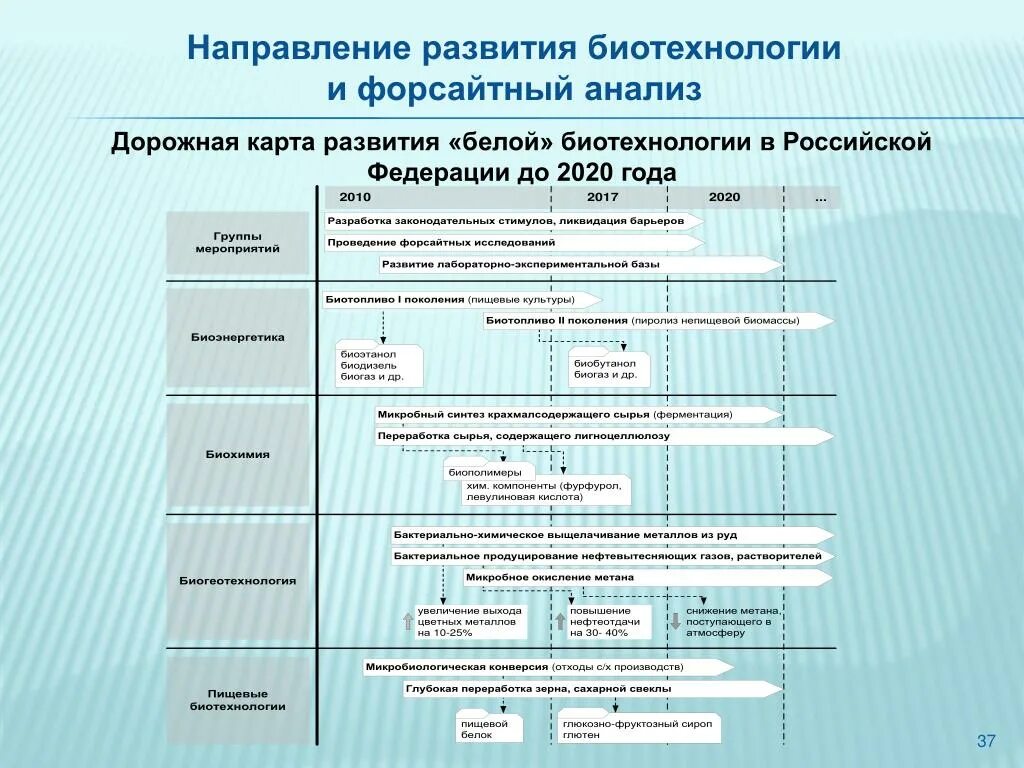 Карта развития направления. Направления биотехнологии. Направления развития биотехнологии. Дорожная карта развития. Перспективные направления развития биотехнологии.