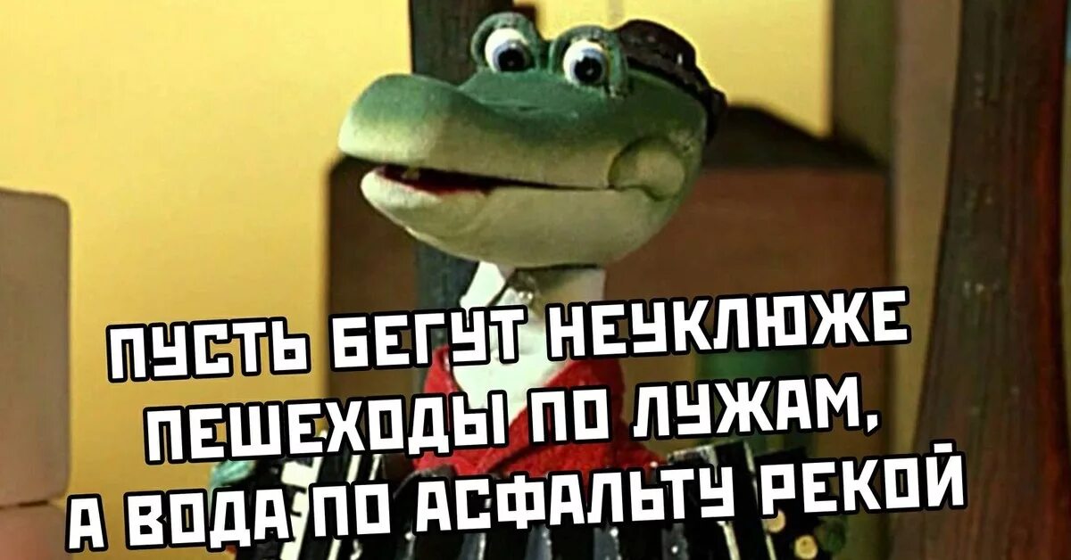 4 пьяных ежика и гена крокодил полная. Пусть бегут. пусть бегут неуклюже пешеходы по лужам. крокодил гена пусть бегут неуклюже. крокодил гена с пивом.