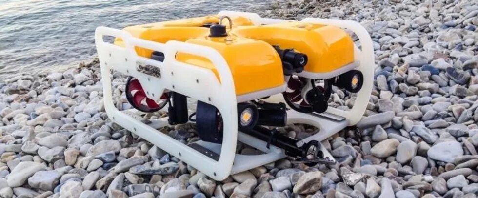 Wow raptor. 5. 3 5. 3 5. Охота на ящеров коготь тетис 3.